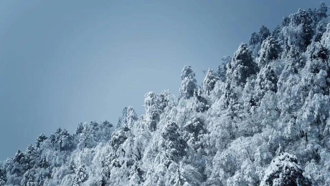 《幻兽帕鲁》繁殖清雀配方介绍